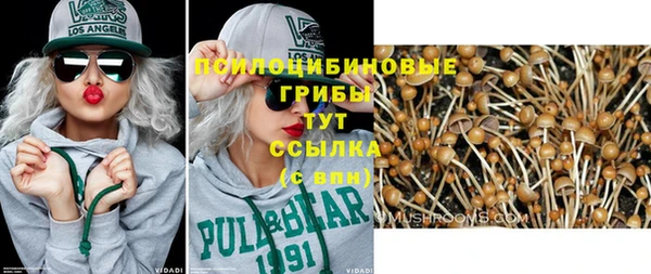 СК Волосово